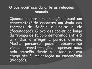 O que acontece durante as relações
             sexuais
Quando ocorre uma relação sexual um
espermatozóide encontra um óvulo nas
trompas de falópio e une-se a ele
(fecundação). O ovo desloca-se ao longo
da trompa de falópio demorando entre 5
a 7 dias a atingir a parede uterina.
Neste percurso podem observar-se
várias transformações apresentados
pelo embrião desde o estado de ovo
chega até à implantação no endométrio
(nidação).
 