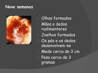 Nove semanas

               •   Olhos formados
               •   Mãos e dedos
                   rudimentares
               •   Joelhos formados
               •   Os pés e os dedos
                   desenvolvem-se
               •   Mede cerca de 3 cm
               •   Pesa cerca de 3
                   gramas
 