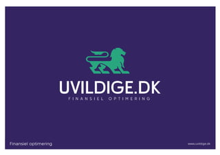 Finansiel optimering   www.uvildige.dk
 