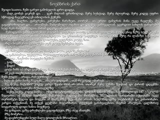 ნოემბრის ქარი შვიდი საათია. ჩემი გარეთ გამოსვლის დრო დადგა. ძალ_ღონეს ვიკრებ და. . . ჯერ ძალიან ფრთხილად, მერე სუსტად, მერე ძლიერად, მერე კიდევ უფრო სწრაფად ჩავუქროლებ თბილისის ქუჩებს. აბა, ხალხო, ფანჯრები, კარებები ჩარაზეთ, თორემ... აი, ერთი ფანჯრის მინა უკვე ჩავლეწე. მე გაგაფრთხილეთ და...  არაუშავს, შეძლებული ოჯახია და დღესვე გამოცვლიან. გვერდით სახლის ფანჯრები სულ ჩემი ჩამტვრეულია, მარამ დღემდე არ გამოუცვლიათ . . . ეხ . . . შემოდგომა განსაკუთრებით მიყვარს. დავერევი ხოლმე გამხამარ ფოთლებს, რომლებიც ხეზე სულ ციცქნა სიცოცხლის ძაფით არიან მიმაგრებული და ერთიანად დავუშვებ ხოლმე ძირს. მერე რა ლამაზი სანახავია წითელ_ყვითელ_ყავისფერი ფოთლები, ვეფერები კიდეც მათ. ახლა ნოემბერია. ფოთლები ჯერ კიდევ შერჩენია ხეებს.  _ნეტა რა უბანში ვარ? _ეს რამდენი ახალგაზრდა, მოხუცი, ქალი, კაცი შეკრებილა! _ა, გამახსენდა, უეჭველია, რუსთაველზე ვარ, პარლამენტის შენობის წინ. _მოიცა , ნაცნობი სიტყვები მესმის: _ გადადექი!  _ წადი! ცოტა ხანს აქ უნდა გავჩერდე, რაღაც საინტერესო ხდება, თუმცა აქ არავის ვეხატები გულზე. ამ კაცს თავზე სასაცილოდ ახურავს ქუდი, თან მე მაკრიტიკებს. . . ნახე ახლა რას ვუზამ. . . ჰოდა, სდიე ახლა შენს ქუდს! . . არადა, რას ვერჩოდი?  _ ნეტა ეს ქარი მაინც ჩადგეს, _ ინატრა ვიღაცამ. _ თან რა ცივად უბერავს. . .  _ შეგაწუხე, ბატონო? კიდევ კარგი წვიმა რომ არ არის, თორემ მერე გენახა წვიმიან და ქარიან დღეებში გატარებული საათები რუსთაველზე.  საქმე, საქმე, კიდევ საქმე. . . უნდა დავტოვო აქაურობა. დიღმის მასივს უნდა ჩავუქროლო და 147_ე სკოლას შევუარო. იქ ძველი მეგობარი, ბებერი ხე მელოდება, რომელიც  XI2  კლასის ფანჯარაში იჭყიტება უკვე თერთმეტი წელია და მიყვება ამ ბავშვებზე, ჭკვიანები არიან, სულ რაღაცაზე საუბრობენ და კამათობენო. კარგია თქვენთან, მე თქვენ ყველანი მიყვარხართ, თქვენგან განსხვავებით, მაგრამ არაუშვას, ცალმხრივ სიყვარულს დიდი ხანია მივეჩვიე. რა გინდათ, ცაზე ღრუბლები გაგიფანტეთ, მზე ისევ ანათებს. მზე მომერია . . .  მე დავბრუნდები სულ მალე ფოთლების შრიალით. 