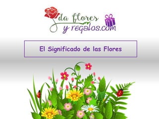 El Significado de las Flores | Dafloresyregalos.com