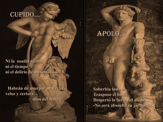 Cupido… Ni la  osadía ajena, ni el tiempo, ni el delirio de un semidiós….  Habrán de usurpar su flecha, veloz y certera…  -dios del  amor - Apolo… Soberbia todo él… Traspuso el límite.  Despertó la furia del alado… -No será absuelta su jactancia. y 