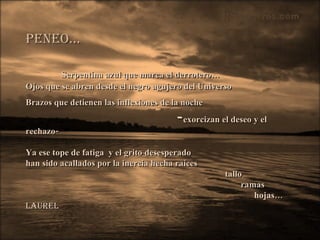 Peneo… Serpentina azul que marca el derrotero… Ojos que se abren desde el negro agujero del Universo Brazos que detienen las inflexiones de la noche   - exorcizan el deseo y el rechazo- Ya ese tope de fatiga  y el grito desesperado han sido acallados por la inercia hecha raíces tallo ramas hojas…  laurel   