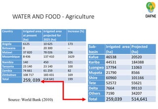 DAFNE case study on the Zambezi river basin | PDF
