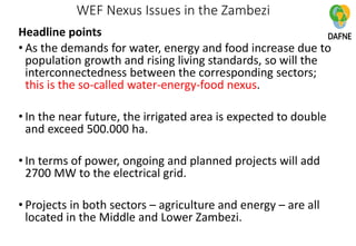 DAFNE case study on the Zambezi river basin | PDF