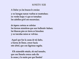 SONETO XIII

A Dafne ya los brazos le crecían
y en luengos ramos vueltos se mostraban;
en verdes hojas vi que se tornaban
los cabellos qu'el oro escurecían;

de áspera corteza se cubrían
los tiernos miembros que aun bullendo 'staban;
los blancos pies en tierra se hincaban
y en torcidas raíces se volvían.

 Aquel que fue la causa de tal daño,
a fuerza de llorar, crecer hacía
este árbol, que con lágrimas regaba.

  ¡Oh miserable estado, oh mal tamaño,
que con llorarla crezca cada día
la causa y la razón por que lloraba!
 