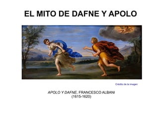 EL MITO DE DAFNE Y APOLO




                                       Crédito de la imagen


     APOLO Y DAFNE, FRANCESCO ALBANI
                (1615-1620)
 