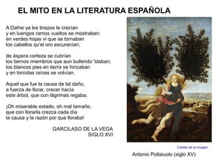 EL MITO EN LA LITERATURA ESPAÑOLA

A Dafne ya los brazos le crecían
y en luengos ramos vueltos se mostraban;
en verdes hojas vi que se tornaban
los cabellos qu'el oro escurecían;

de áspera corteza se cubrían
los tiernos miembros que aun bullendo 'staban;
los blancos pies en tierra se hincaban
y en torcidas raíces se volvían.

Aquel que fue la causa de tal daño,
a fuerza de llorar, crecer hacía
este árbol, que con lágrimas regaba.

¡Oh miserable estado, oh mal tamaño,
que con llorarla crezca cada día
la causa y la razón por que lloraba!

                    GARCILASO DE LA VEGA
                               SIGLO XVI

                                                                     Crédito de la imagen

                                                 Antonio Pollaiuolo (siglo XV)
 