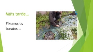 Máis tarde…
Fixemos os
buratos …
 