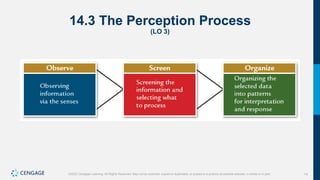 14
©2022 Cengage Learning. All Rights Reserved. May not be scanned, copied or duplicated, or posted to a publicly accessible website, in whole or in part.
14.3 The Perception Process
(LO 3)
 