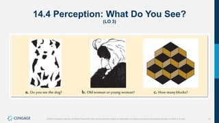 15
©2022 Cengage Learning. All Rights Reserved. May not be scanned, copied or duplicated, or posted to a publicly accessible website, in whole or in part.
14.4 Perception: What Do You See?
(LO 3)
 