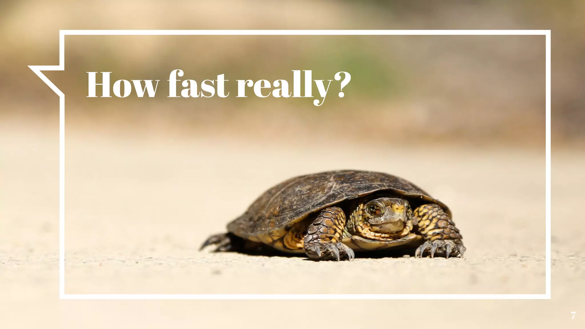 How fast really?
7
 