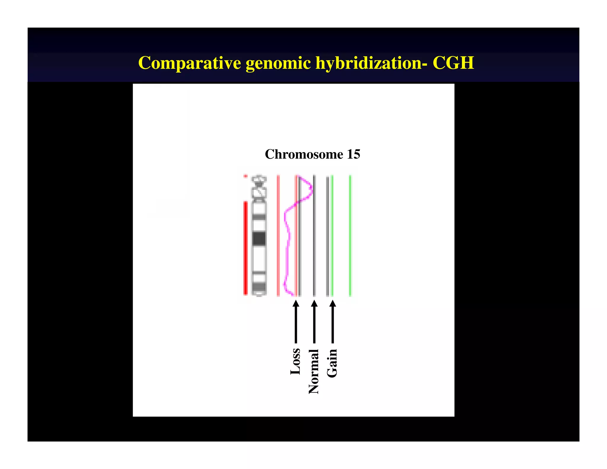 Comparative genomic hybridization- CGH 
• Technique related to FISH 
• Allows the copy number of every chromosome to be determined 
Chromosome 15 
Test DNA Normal DNA 
Normal Trisomy Monosomy 
Gain 
Loss 
Normal 
Kallioniemi et al 1992; 
Wells et al 1999, 2002; Voullaire et al 1999; Wilton et al 2001; Gutierrez et al 2004, 2005; Fragouli et al 2006, 2007 
 