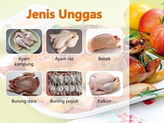 Ayam
kampung
Ayam ras Bebek
Burung dara Burung puyuh Kalkun
 