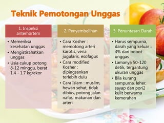1. Inspeksi
antemortem
• Memeriksa
kesehatan unggas
• Mengistirahatkan
unggas
• Usia cukup potong
8-12 minggu, berat
1.4 - 1.7 kg/ekor
2. Penyembelihan
• Cara Kosher :
memotong arteri
karotis, vena
jugularis, esofagus
• Cara modified
Kosher :
dipingsankan
terlebih dulu
• Cara Islam : muslim,
hewan sehat, tidak
dibius, potong jalan
nafas, makanan dan
arteri
3. Penuntasan Darah
• Harus sempurna,
darah yang keluar ±
4% dari bobot
unggas
• Lamanya 50-120
detik, tergantung
ukuran unggas
• Bila kurang
sempurna, leher,
sayap dan pori2
kulit berwarna
kemerahan
 