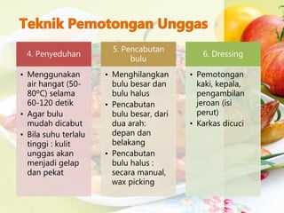 4. Penyeduhan
• Menggunakan
air hangat (50-
80ºC) selama
60-120 detik
• Agar bulu
mudah dicabut
• Bila suhu terlalu
tinggi : kulit
unggas akan
menjadi gelap
dan pekat
5. Pencabutan
bulu
• Menghilangkan
bulu besar dan
bulu halus
• Pencabutan
bulu besar, dari
dua arah:
depan dan
belakang
• Pencabutan
bulu halus :
secara manual,
wax picking
6. Dressing
• Pemotongan
kaki, kepala,
pengambilan
jeroan (isi
perut)
• Karkas dicuci
 