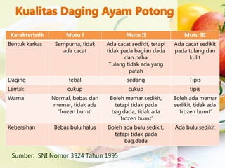 Karakteristik Mutu I Mutu II Mutu III
Bentuk karkas Sempurna, tidak
ada cacat
Ada cacat sedikit, tetapi
tidak pada bagian dada
dan paha
Tulang tidak ada yang
patah
Ada cacat sedikit
pada tulang dan
kulit
Daging tebal sedang Tipis
Lemak cukup cukup tipis
Warna Normal, bebas dari
memar, tidak ada
‘frozen burnt’
Boleh memar sedikit,
tetapi tidak pada
bag.dada, tidak ada
‘frozen burnt’
Boleh ada memar
sedikit, tidak ada
‘frozen burnt’
Kebersihan Bebas bulu halus Boleh ada bulu sedikit,
tetapi tidak pada
bag.dada
Ada bulu sedikit
Sumber: SNI Nomor 3924 Tahun 1995
 