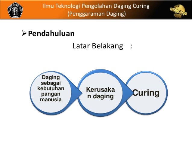 Daging ppt Daging ppt