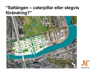 ”Saltängen – caterpillar eller stegvis
förändring?”
 