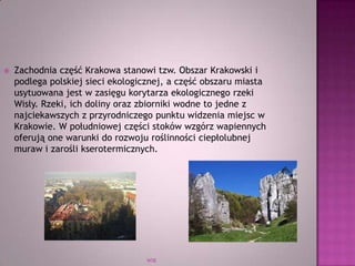 WSB
 Zachodnia część Krakowa stanowi tzw. Obszar Krakowski i
podlega polskiej sieci ekologicznej, a część obszaru miasta
usytuowana jest w zasięgu korytarza ekologicznego rzeki
Wisły. Rzeki, ich doliny oraz zbiorniki wodne to jedne z
najciekawszych z przyrodniczego punktu widzenia miejsc w
Krakowie. W południowej części stoków wzgórz wapiennych
oferują one warunki do rozwoju roślinności ciepłolubnej
muraw i zarośli kserotermicznych.
 