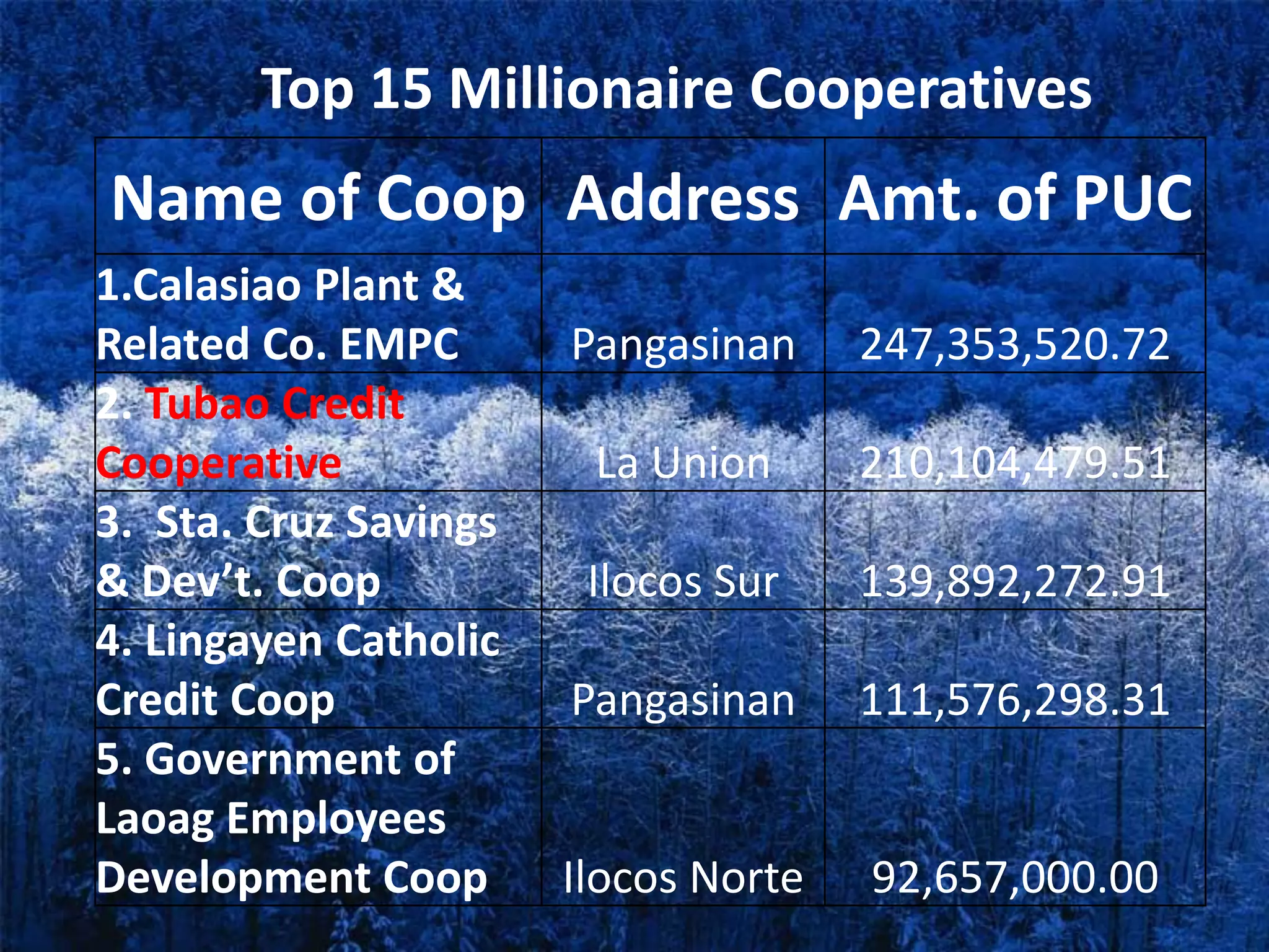 Top 15 Millionaire Cooperatives
Name of Coop Address Amt. of PUC
1.Calasiao Plant &
Related Co. EMPC Pangasinan 247,353,520.72
2. Tubao Credit
Cooperative La Union 210,104,479.51
3. Sta. Cruz Savings
& Dev’t. Coop Ilocos Sur 139,892,272.91
4. Lingayen Catholic
Credit Coop Pangasinan 111,576,298.31
5. Government of
Laoag Employees
Development Coop Ilocos Norte 92,657,000.00
 