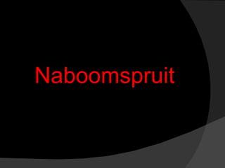 Naboomspruit 