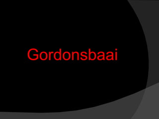 Gordonsbaai 
