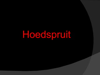 Hoedspruit 