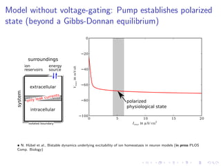 Model without voltage-gating: Pump establishes polarized
state (beyond a Gibbs-Donnan equilibrium)
ion
reservoirs
isolated boundary
system
surroundings
energy
source
extracellular
intracellular
only leak currents
0 5 10 15 20
Imax in µA/ cm2
100
80
60
40
20
0
VmaxinmVolt
polarized
physiological state
• N. H¨ubel et al., Bistable dynamics underlying excitability of ion homeostasis in neuron models (in press PLOS
Comp. Biology)
 