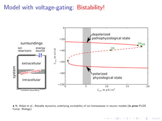 Model with voltage-gating: Bistability!
ion
reservoirs
isolated boundary
system
surroundings
energy
source
extracellular
intracellular
gated currents
0 5 10 15 20
Imax in µA/ cm2
100
80
60
40
20
0
VmaxinmVolt
HB
HBHB
polarized
physiological state
depolarized
pathophysiological state
• N. H¨ubel et al., Bistable dynamics underlying excitability of ion homeostasis in neuron models (in press PLOS
Comp. Biology)
 