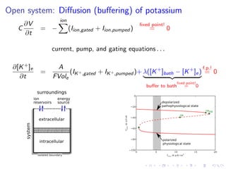 Open system: Diﬀusion (buﬀering) of potassium
C
∂V
∂t
= −
ion
(Iion,gated + Iion,pumped )
ﬁxed point!
= 0
current, pump, and gating equations . . .
∂[K+]e
∂t
=
A
FVole
(IK+,gated + IK+,pumped )+ λ([K+
]bath − [K+
]e)
buﬀer to bath
ﬁxed point!
= 0
f.p.!
= 0
ion
reservoirs
isolated boundary
system
surroundings
energy
source
extracellular
intracellular
0 5 10 15 20
Imax in µA/ cm2
100
80
60
40
20
0
VmaxinmVolt
HB
HBHB
polarized
physiological state
depolarized
pathophysiological state
 