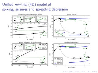 Uniﬁed minimal (4D) model of
spiking, seizures and spreading depression
−60 −40 −20 0 20 40
˜Ke / (mM/l)
−80
−60
−40
−20
0
20
40
mV
HB1
LP1
HB2
LP2
HB3
HB4
LP1lc
LP2lc
LP3lc
LP4lc
membrane potential for simple model
−60 −40 −20 0 20 40
˜Ke / (mM/l)
0
10
20
30
40
50
60
mM/l
HB1
LP1HB2
LP2
HB3
HB4
LP1lc
LP2lc
LP3lc
LP4lc
extrac. potassium for simple model
stable FP
unstable FP
stable LC
unstable LC
−49 −47 −45 −43
HB3
LP1lc
27 29 31
HB1
0.00 0.03
+2.87×101
HB1
PD LP5lc
LP6lc
−49 −47 −45 −43
HB3
LP1lc
27 29 31
LP1
LP3lc
5 10 15 20
Kbath / (mM/l)
20
40
60
80
100
120
140
160
mM/l
LP1
LP2
HB1
HB2
HB3
HB4
LP1lc
LP2lc
TR1
TR2
TR3
TR4
extrac. sodium
5 10 15 20
Kbath / (mM/l)
−80
−60
−40
−20
0
20
40
mM/l
LP1
LP2
HB1
HB2 HB3
HB4
LP1lc
LP2lc
TR1
TR2
TR3
TR4
potassium gain/loss ˜Ke
stable FP
unstable FP
stable LC
unstable LC
stable torus
6.7 6.9 7.1
HB1 TR4
PD
 