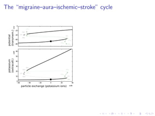 The “migraine–aura–ischemic–stroke” cycle
−80
−60
−40
−20
0
HB1
LP1
HB2
LP2
HB3
HB4
LP1lc
LP2lc
LP3lc
LP4lc
potential
(transmem.)
−60 −40 −20 0 20 40
0
10
20
30
40
50
60
HB1
LP1HB2
LP2
HB3
HB4
LP1lc
LP2lc
LP3lc
LP4lc
particle exchange (potassium ions)
potassium
(extracell.)
mM
mMmV
 