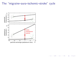 The “migraine–aura–ischemic–stroke” cycle
−80
−60
−40
−20
0
HB1
LP1
HB2
LP2
HB3
HB4
LP1lc
LP2lc
LP3lc
LP4lc
potential
(transmem.)
−60 −40 −20 0 20 40
0
10
20
30
40
50
60
HB1
LP1HB2
LP2
HB3
HB4
LP1lc
LP2lc
LP3lc
LP4lc
particle exchange (potassium ions)
potassium
(extracell.)
mM
mMmV
trans-
membrane
events
 