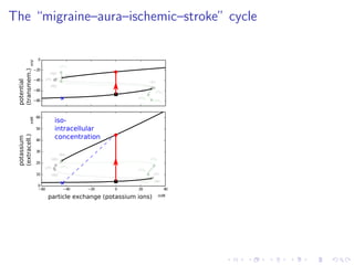 The “migraine–aura–ischemic–stroke” cycle
−80
−60
−40
−20
0
HB1
LP1
HB2
LP2
HB3
HB4
LP1lc
LP2lc
LP3lc
LP4lc
potential
(transmem.)
−60 −40 −20 0 20 40
0
10
20
30
40
50
60
HB1
LP1HB2
LP2
HB3
HB4
LP1lc
LP2lc
LP3lc
LP4lc
particle exchange (potassium ions)
potassium
(extracell.)
mM
mMmV
++
iso-
intracellular
concentration
 