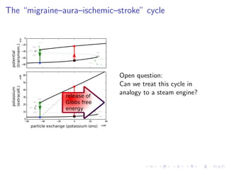 The “migraine–aura–ischemic–stroke” cycle
−80
−60
−40
−20
0
HB1
LP1
HB2
LP2
HB3
HB4
LP1lc
LP2lc
LP3lc
LP4lc
potential
(transmem.)
−60 −40 −20 0 20 40
0
10
20
30
40
50
60
HB1
LP1HB2
LP2
HB3
HB4
LP1lc
LP2lc
LP3lc
LP4lc
particle exchange (potassium ions)
potassium
(extracell.)
mM
mMmV
++
release of
Gibbs free
energy
Open question:
Can we treat this cycle in
analogy to a steam engine?
 