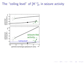 The “ceiling level” of [K+
]e in seizure activity
−80
−60
−40
−20
0
HB1
LP1
HB2
LP2
HB3
HB4
LP1lc
lc
lc
LP4lc
potential
(transmem.)
−60 −40 −20 0 20 40
0
10
20
30
40
50
60
HB1
LP1HB2
LP2
HB3
HB4
LP1lc
LP4lc
particle exchange (potassium ions)
potassium
(extracell.)
mM
mMmV
LP2
LP3
LP2lc
LP3lc
seizure-like
activity
"ceiling level"
 