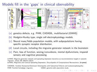 Models ﬁll in the ‘gaps’ in clinical obervability
I
II
III
IV
V
VI
0 5 10 15 20 25 30 35
time (s)
100
50
0
50
voltage(mV)
V
EK
ENa
Iapp
seizure-like
afterdischarges
depolarization block
dominance
pump current
m-gate
deactivation
begin
I -driven
repolarization
Na
+
transmembrane&
cellularlevel
molecularlevel&
genetics
b c
insidecell
outsidecell
a
oﬀ on
HY,TH
SPG
SSN
TCC
PAG
LC
RVM
TG
cortex
cranial circulation & innervation
bone
d
SD
cortico-
thalamic
action
release noxious agents
e
sensory aura (15min)
visual aura (0min)
behavior,
perception
sensory
processing
balanced excitation and
inhibition in ion-based models
organlevel
(a) genetics defects, e.g. FHM, CADASIL, multifactorial (GWAS)
(b) Hodgkin-Huxley type, single cell electrophysiology models.
(c) Neural mass/ﬁelds population models, with subpopulations having
speciﬁc synaptic receptor distribution.
(d) Local circuits, including the migraine generator network in the brainstem
(e) Pain, loss of function, seizing/convulsions, mental dysfunctions, impared
sensory and cognitive processing
• MAD, Migraine generator network and spreading depression dynamics as neuromodulation targets in episodic
migraine. Chaos, 23, 046101 (2013)
• MAD, Migraines and Cortical Spreading Depression, Encyclopedia of Computational Neuroscience, (in press)
CADASIL: Cerebral Autosomal-Dominant Arteriopathy with Subcortical Infarcts and Leukoencephalopathy;
FHM: Familial hemiplegic migraine; GWAS: genome-wide association study
 