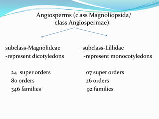 Angiosperms (class Magnoliopsida/
class Angiospermae)
subclass-Magnolideae subclass-Lillidae
-represent dicotyledons -represent monocotyledons
24 super orders 07 super orders
80 orders 26 orders
346 families 92 families
 