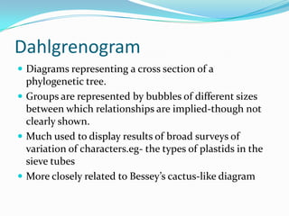 Dahlgrenogram
 Diagrams representing a cross section of a
phylogenetic tree.
 Groups are represented by bubbles of different sizes
between which relationships are implied-though not
clearly shown.
 Much used to display results of broad surveys of
variation of characters.eg- the types of plastids in the
sieve tubes
 More closely related to Bessey’s cactus-like diagram
 