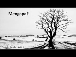 Mengapa?
 