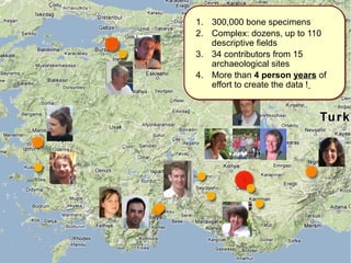 1. 300,000 bone specimens 
2. Complex: dozens, up to 110 
descriptive fields 
3. 34 contributors from 15 
archaeological sites 
4. More than 4 person years of 
effort to create the data ! 
 