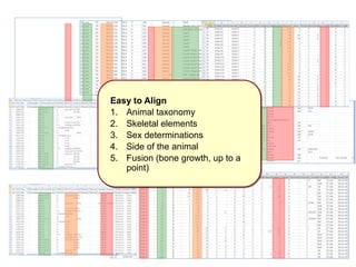 Easy to Align 
1. Animal taxonomy 
2. Skeletal elements 
3. Sex determinations 
4. Side of the animal 
5. Fusion (bone growth, up to a 
point) 
 