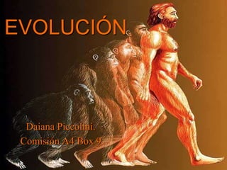 EVOLUCIÓN
Daiana Piccolini.
Comisión A4 Box 9
 