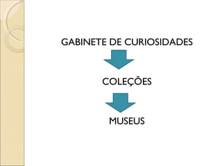 GABINETE DE CURIOSIDADES COLEÇÕES MUSEUS 