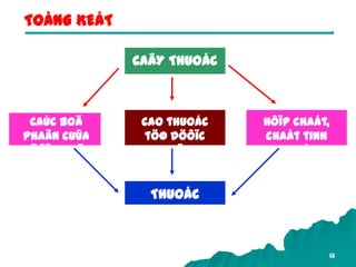 13
Caùc boä
phaän cuûa
döôïc lieäu
Cao thuoác
töø döôïc
lieäu
Hôïp chaát,
chaát tinh
khieát
CAÂY THUOÁC
THUOÁC
TOÅNG KEÁT
 