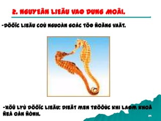 24
2. NGUYEÂN LIEÄU VAØ DUNG MOÂI.
-Döôïc lieäu coù nguoàn goác töø ñoäng vaät.
-Xöû lyù döôïc lieäu: Dieät men tröôùc khi laøm khoâ
ñeå oån ñònh.
 