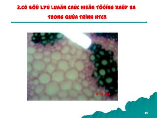 34
3.CÔ SÔÛ LYÙ LUAÄN CAÙC HIEÄN TÖÔÏNG XAÛY RA
TRONG QUÙA TRÌNH HTCX
 