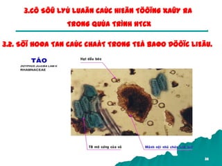36
3.CÔ SÔÛ LYÙ LUAÄN CAÙC HIEÄN TÖÔÏNG XAÛY RA
TRONG QUÙA TRÌNH HTCX
3.2. SÖÏ HOØA TAN CAÙC CHAÁT TRONG TEÁ BAØO DÖÔÏC LIEÄU.
 