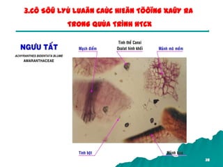 38
3.CÔ SÔÛ LYÙ LUAÄN CAÙC HIEÄN TÖÔÏNG XAÛY RA
TRONG QUÙA TRÌNH HTCX
 